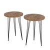 Set of 2 END Table - PAK Home Round Wood