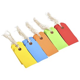 100 Tags 4 3/4" x 2 3/8" Size 5 Colored Inventory Shipping Hang Tag with String by Gitway