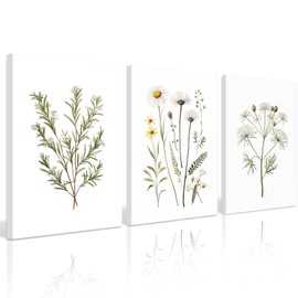 Botanical Wall Art Flower Wall Decor Vintage Wildflower Canvas Wall Art Set of 3 Watercolor Plant Pictures Boho Floral art Prints Farmhouse Artwork for Room Bedroom 16x24 Inch Ready to Hang