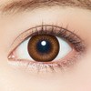 Evercolor One Day Natural Champagne Brown -7.00 Pack of 20