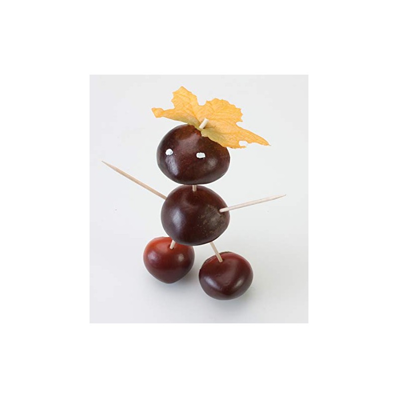 Peter Bausch NA2345 Nail Drill Kit Chestnut Drill