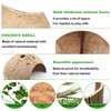 QUOZUO Crested Gecko Tank Accessories, Reptile Climbing Vines Hanging Plants