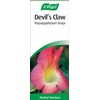 A.Vogel A.Vogel Devil's Claw Harpagophyum Drops (100ml)