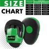 Lions Target Focus Pads - Martial Arts Punching Training Hand