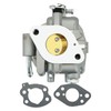 846109 Carburetor Replacement Kit with Gaskets & Fuel Filter –