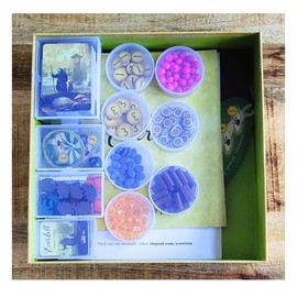 PRODUCT80 BitsBins Organizer for EVERDELL Board Game, Organizes Cards and Tokens Easily and Fits in Game Box, Board Game Accessories for Components of EVERDELL