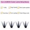Individual Lashes 300 Pcs LAUBESS Lash Clusters Individual Eyelash Clusters