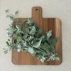 Creative Native Saltbush Flakes