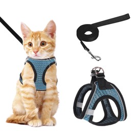 NiCoLa Cat Harness and Lead for Walking, Escape Proof kitten harness and lead set with Reflective Strip, Adjustable Kitten Vest Harness for Small Adult Cat Walking (Blue, XS)