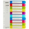 Leitz Index for A4, PC-writable cover sheet and 10 dividers,