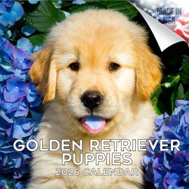 Mega GOLDEN RETRIEVER PUPPIES Wall Calendar 2026 DOG PET Animal Lover Gift Puppy