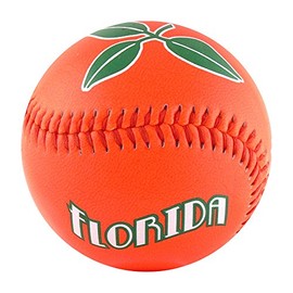 EnjoyLife Inc Florida Orange Baseball (Rubber Core)