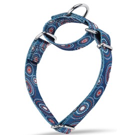 Dazzber Martingale Collar Floral Print Dog Collar, No Pull Pet Collar, Heavy Duty Adjustable Dog Collar, Medium, Neck 14 Inch to 21 Inch, Firework Dots-Indigo