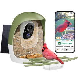 Bird Feeder with Camera | AI Recognition, Solar-Charged Video Bird Feeder Camera, Auto-Capture Video & Bird Arrival Alerts | Ideal Gift for Bird Enthusiasts | Forest Green