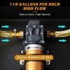12V Fuel Transfer Pump Set,75W Gasoline Transfer Pump Moves 110