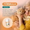 Suplemento Vitamina Proteina Omega Para Gatos Piel Y Pelo 60