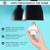 Wireless Remote Control Light Switch and Socket Cap to Turn
