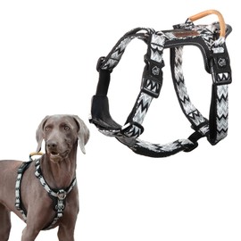 ANDA Easy Walk Dog Harness: Lightweight, Secure, and Comfortable, Balance Buckle-Neck Design, 5-Point Adjustable Harness with Handle for Daily Walks and Training (Medium)