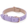 WHIPPY Soft Padded Leather Dog Collar for Small Medium Large