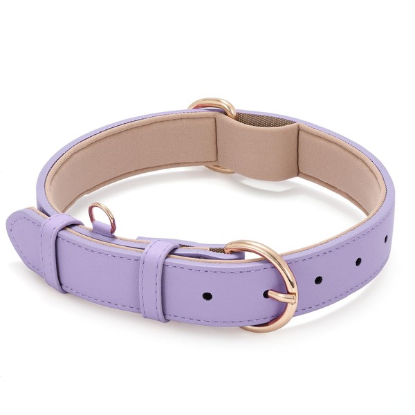 WHIPPY Soft Padded Leather Dog Collar for Small Medium Large