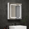 Mepplzian LED Bathroom Cabinet Mirror Smart Wall Defogging Vanity Storage