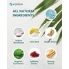 Hydrogen Foot Soak Effervescent Tablets 3 Pack | Ginger &