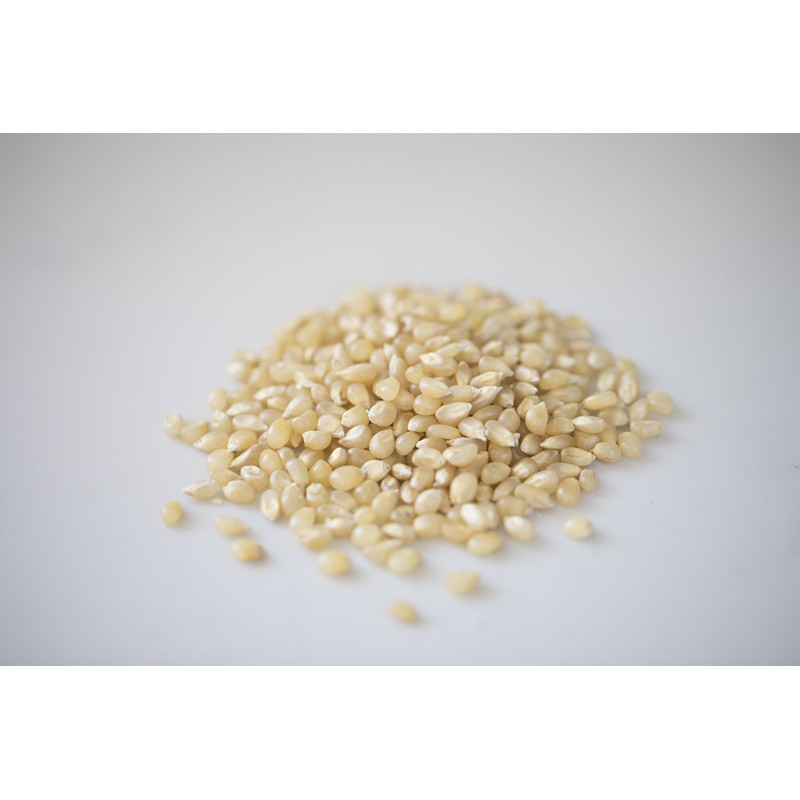 Amish Country Popcorn - Baby White Extra Small and Tender