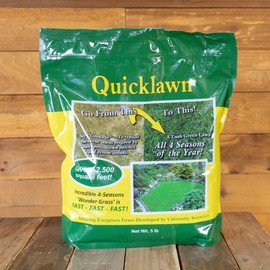 Grass Seeds Quicklawn 5 Lb ~1,636,800 Seeds – Fast-Germinating, – Lush Green Turf in Days – Drought-Resistant, Low Maintenance – Ideal for Residential & Commercial Lawns