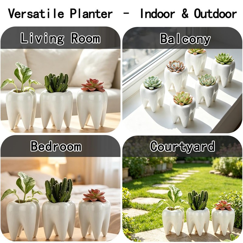 6 Pack Ceramic Tooth Planter