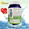 Squared Nutrition Coq10 Antioxidante Salud Corazon 200 Caps