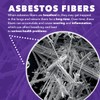 BALORP DIY Test Asbestos 2 PK- Includes All Lab Fees