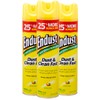 Endust Lemon Zest Multi-Surface Dusting and Cleaning Spray, Lemon Zest,