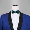 Barry.Wang Teal Black Bow Tie Set Men Paisley Silk Pre-Tied