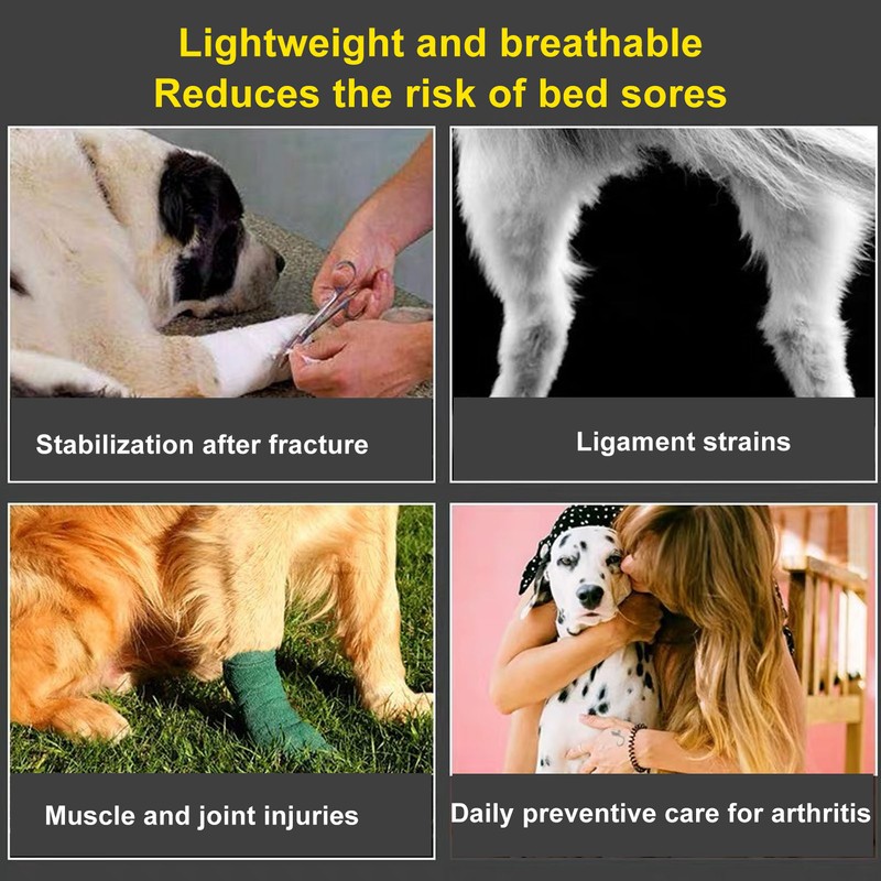 Dog Rear Leg Brace Prevent Licking Fixing Strap Spring Support