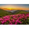 ENJOY-2063 Pink Dusk Jigsaw Puzzle, 1000 Pieces