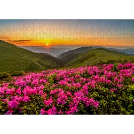 ENJOY-2063 Pink Dusk Jigsaw Puzzle, 1000 Pieces
