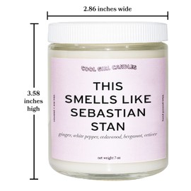 Cool Girl Candles | This Smells Like Sebastian Stan Scented Candle | All Natural Coconut Soy Wax | The Best Strong Scented Candles for Home Fragrance | Clean Burning | Funny Gifts | 8.5 fl oz
