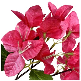 wardbum Pack of 20 - Artificial Bougainvillea Flower Stems Silk Fuchsia Bougainvillea Bush Branches for Home Wedding Table Centerpiece Shower Party Indoor Outdoor Decorations (Hot Pink)