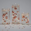 Transparent Water Gels Kit- Fills 1 Gallon for Your Vases
