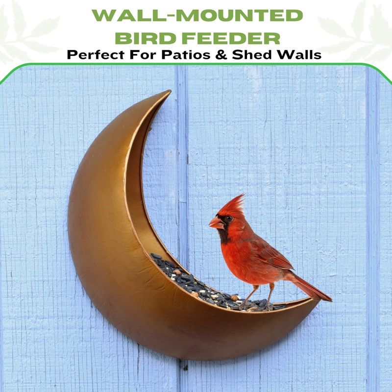Fence & Tree Mounted Moon Bird Feeder – Cardinal, Squirrel