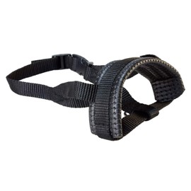 Arquivet 8435117819320 – Nylon Headcollar with Bow Acolc 2