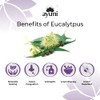 Ayumi Pure Eucalyptus Oil, Produced in a Diluted Form to
