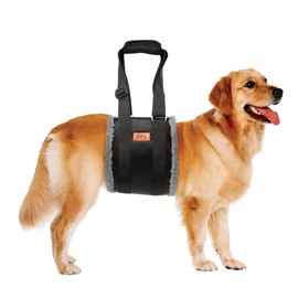 Adjustable Dog Carrier - Portable Rehabilitation Strap for Disabled, Injured or Elderly Dogs - Dog Harness as Walking Aid for Small and Large Dogs