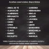 VIDA SCENTS OLEOS Aceite Esencial de Canela 10 ML 100%