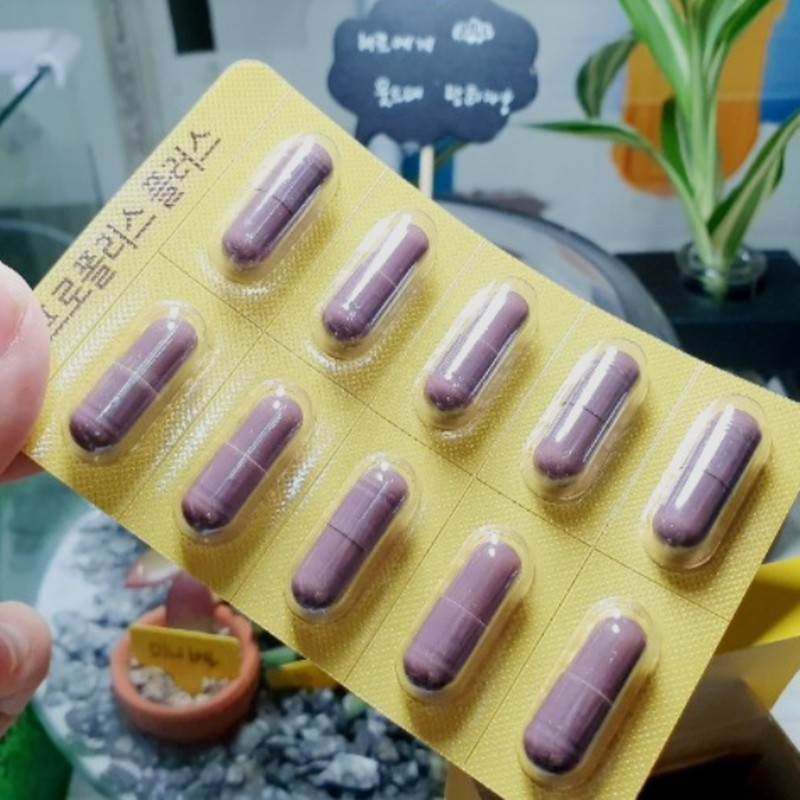 Chong Kun Dang Health Wild Bee Propolis Plus 360 Capsules