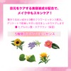 KOSE Fortune Dolly Feel Eye Color 02 (Hony Camel) Eyeshadow,