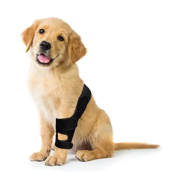 XTrador Joint bandage for dogs for front and hind legs,