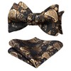 HISDERN Paisley Wedding Self Bow Tie Handkerchief Men's Self Bow