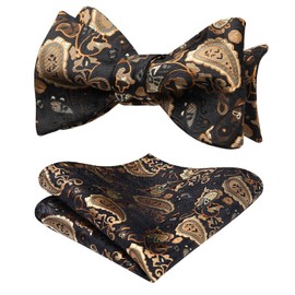 HISDERN Paisley Wedding Self Bow Tie Handkerchief Men's Self Bow tie & Pocket Square Set, One Size, Gold / Black