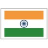 8 Large India Flag Tattoos: Indian Party Favors